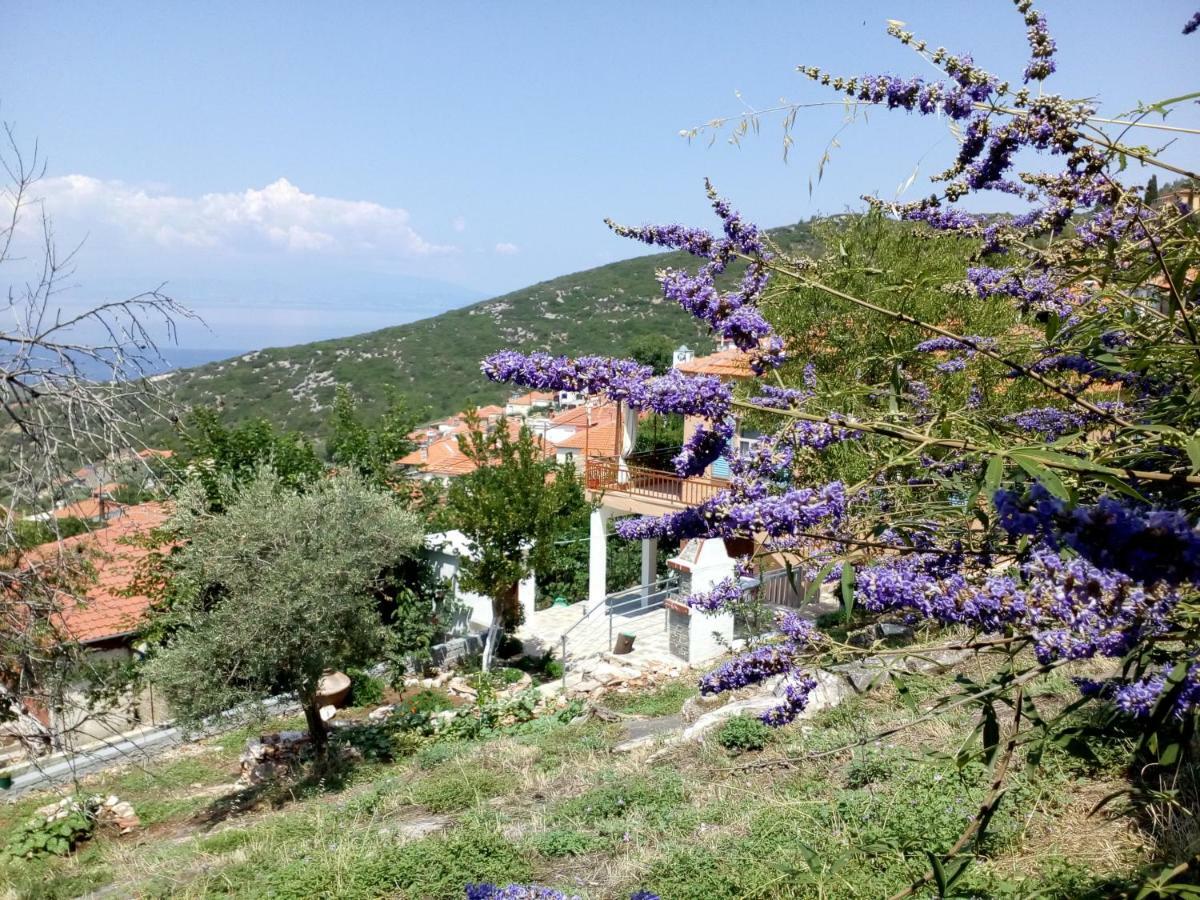 Dimitra'S Garden Villa Kallirákhi Eksteriør bilde